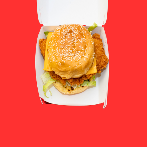 Crispy Chicken Mayo Burger 